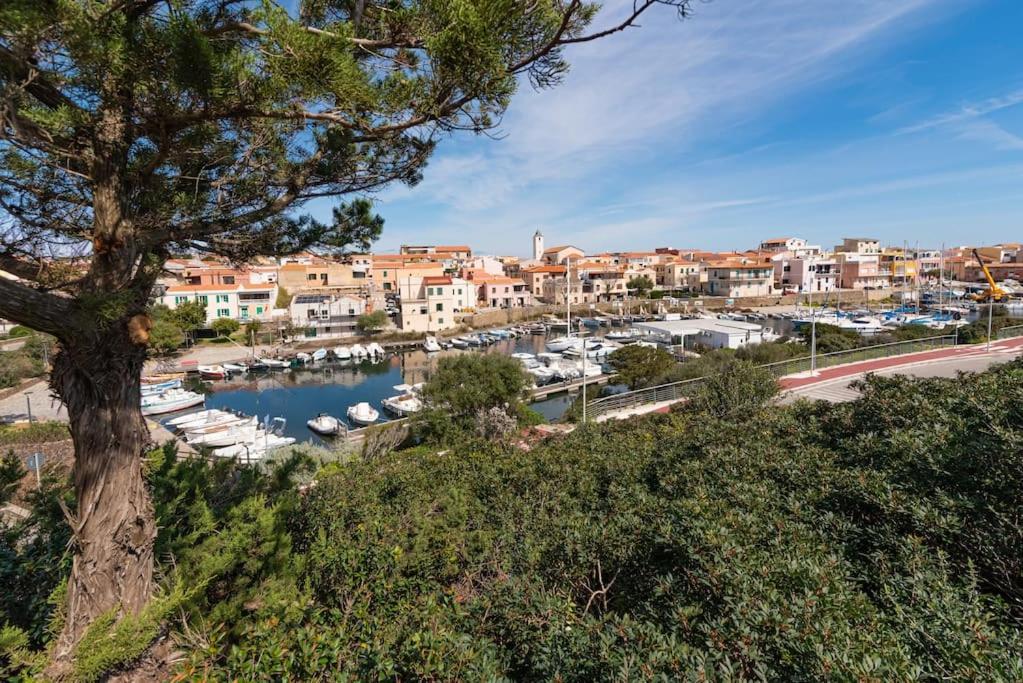 La Lampara - Casa Panoramica 4 Km Dalla Pelosa スティンティーノ エクステリア 写真